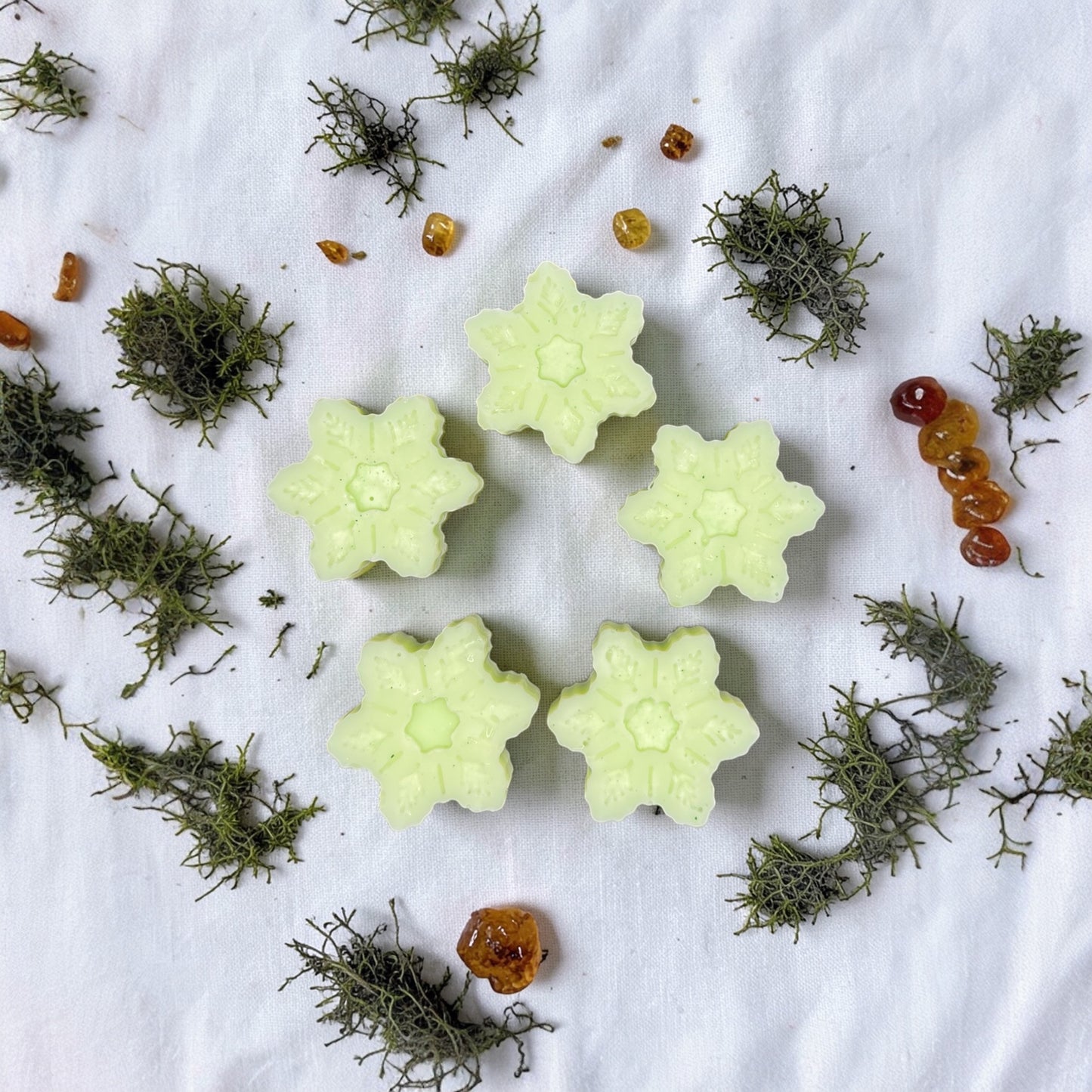 Oakmoss and amber wax tart from PNW Candle Co, showcasing a fragrant, natural wax melt with earthy moss and warm amber tones.