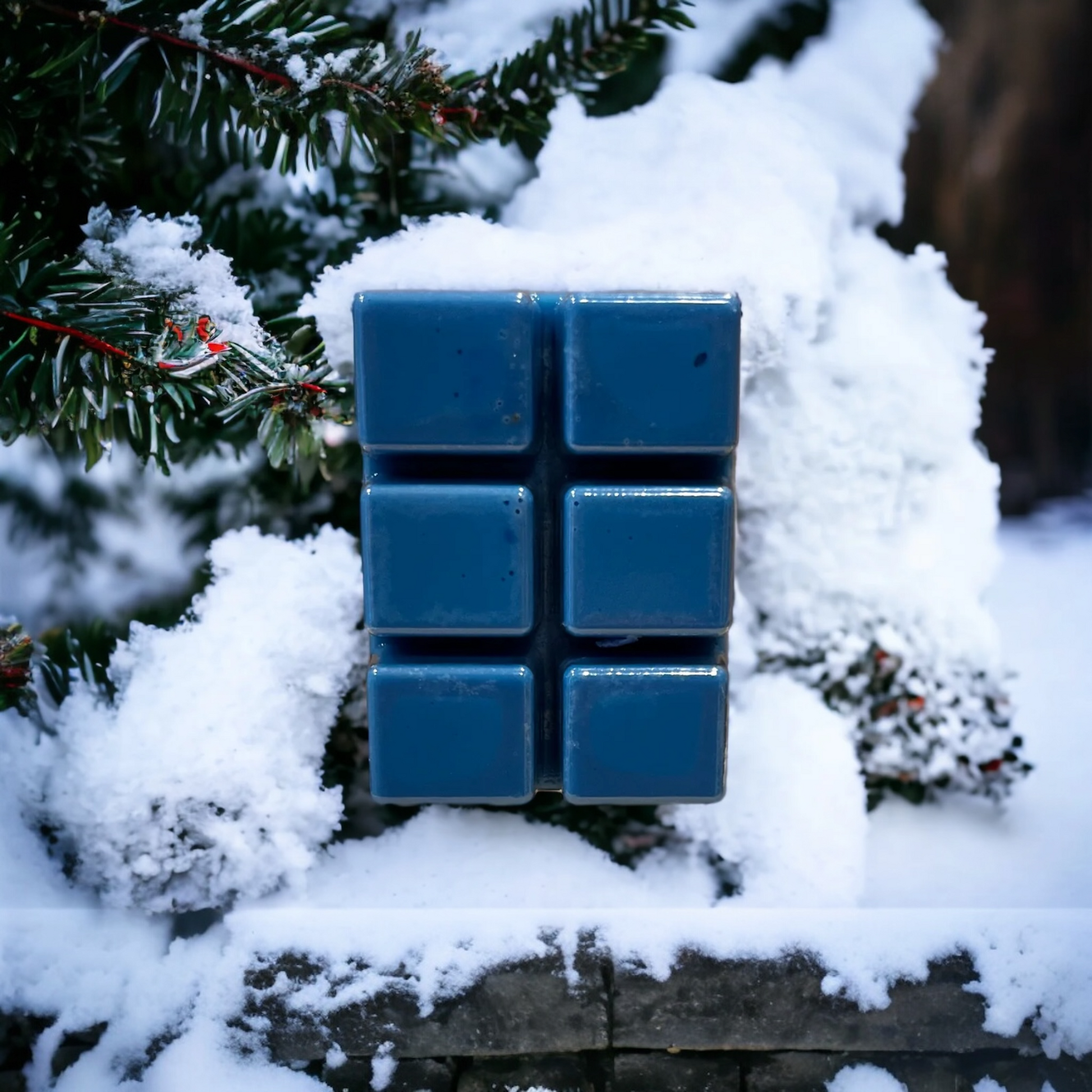 Sleigh Ride Wax Melt 🎄🛷✨ - PNW Candle Co