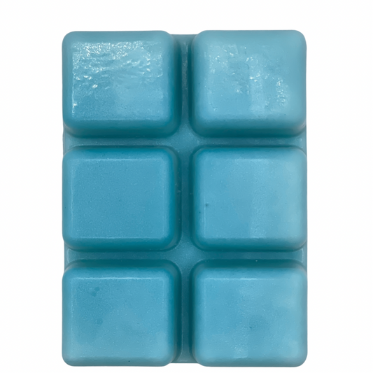 Sea Breezes Scented Wax Melts image 0