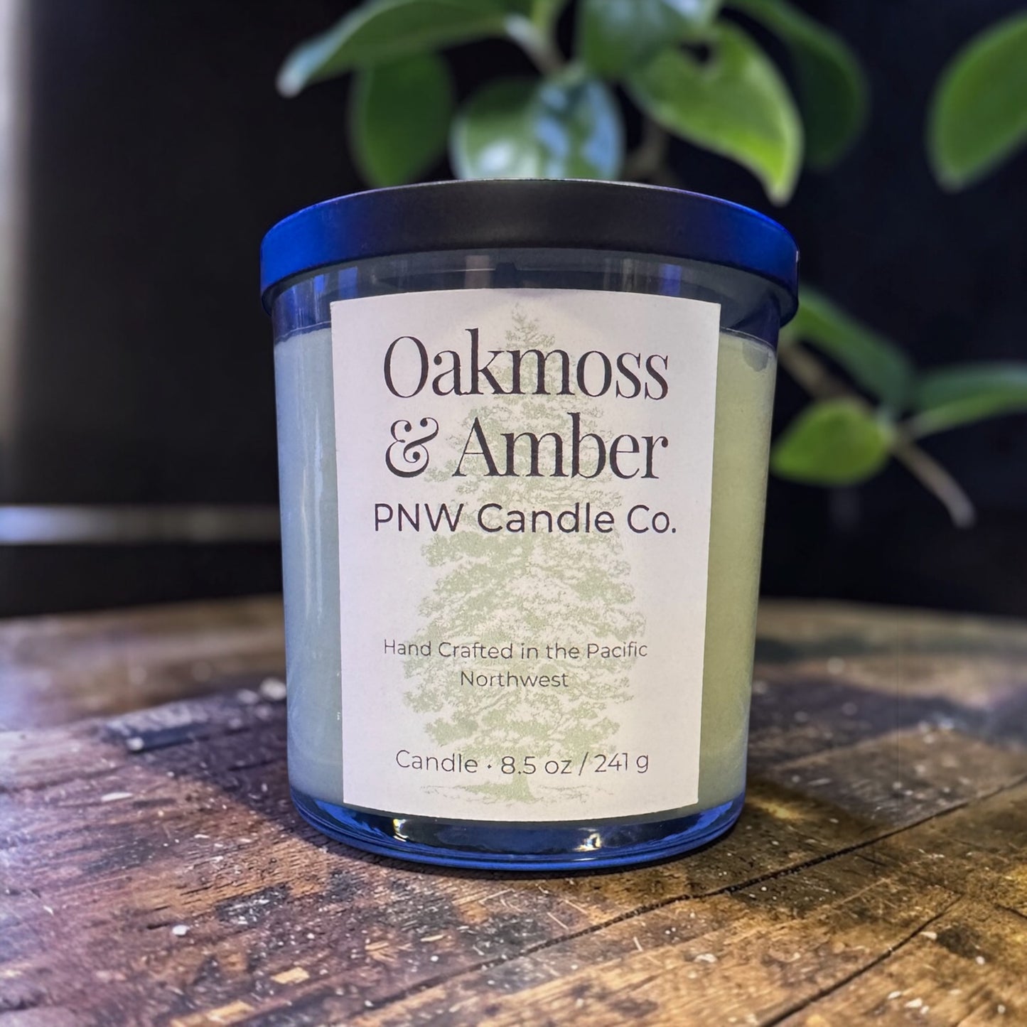 Oakmoss & Amber Scented Candle - PNW Candle Co