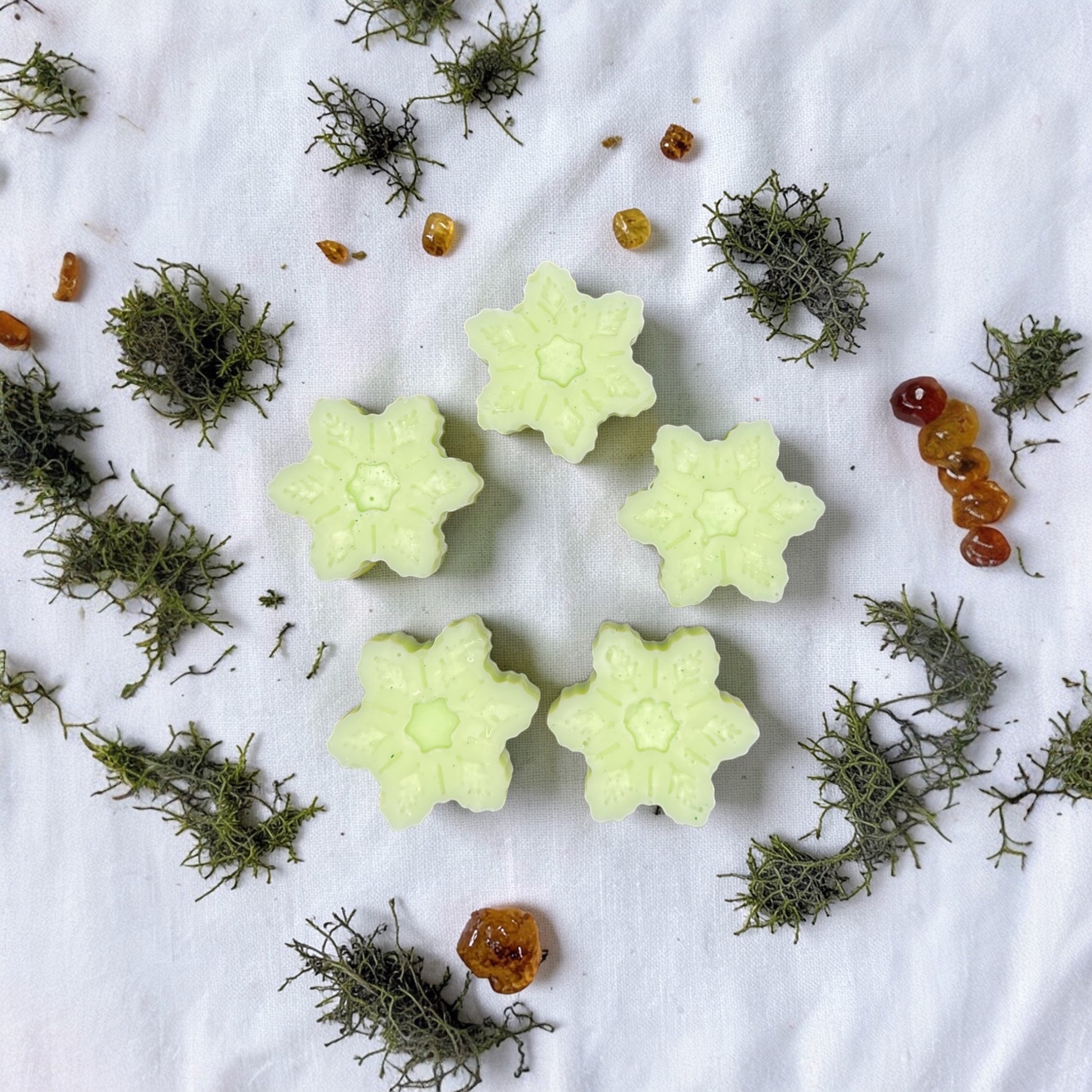 Oakmoss and amber wax tart from PNW Candle Co, showcasing a fragrant, natural wax melt with earthy moss and warm amber tones.