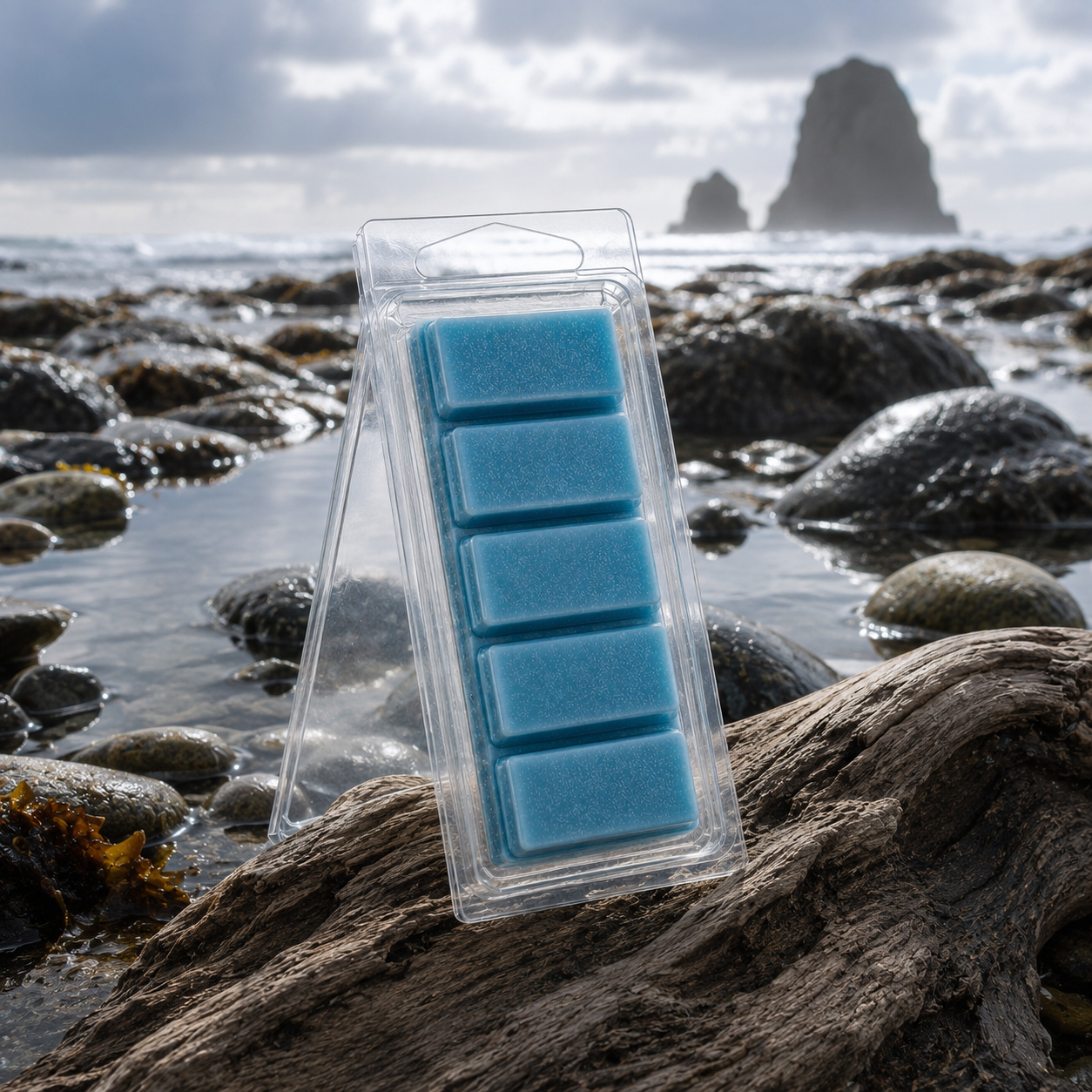 Ocean Shores five-section Snapbar wax melt in a clear hinged container on a Pacific tide-pool beach